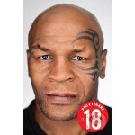 Nakladatelství SLOVART s. r. o. Mike Tyson - Čistá pravda – Hledejceny.cz