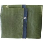 Extol Premium 14103 plachta PE nepromokavá silná 4x5m – Zboží Dáma Extol Premium 14103 plachta PE nepromokavá silná 4x5m – Zboží Dáma