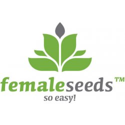 Female Seeds Indoor Mix semena neobsahují THC 4 ks