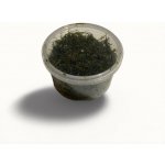 Vesicularia dubyana - Měchýřka jávská – Hledejceny.cz