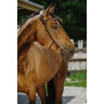 NORTON Uzdečka Freedom Hnědá – Zboží Mobilmania