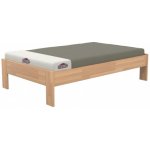 Domestav EKONOMY HORTENZIE FUTON buk cink – Hledejceny.cz