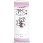 Denta Salvia concentrate šalvějová 50 ml – Hledejceny.cz