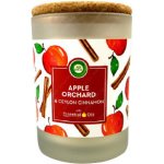 Air Wick Essentials Oils Apple Orchard & Ceylon Cinnamon 185 g – Hledejceny.cz