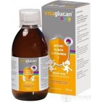 Vitaglucan Sirup dětský sirup s citrónovou příchutí stimuluj 250 ml – Hledejceny.cz