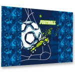 Karton P+P Fotbal 60 x 40 cm 3-81520 – Zboží Dáma