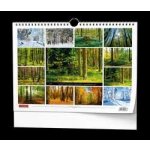 nástěnný Les 45cm x 32cm BNK22-27 2027 – Sleviste.cz
