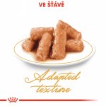 Royal Canin British Shorthair Gravy 12 X 85 g – Sleviste.cz