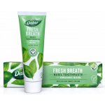 Dabur Fresh breath s Tulsi 100 ml – Hledejceny.cz