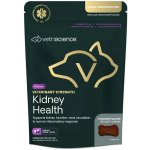 Vetriscience Renal Essentials Canine 312 g/60 ks podpora ledvin – Hledejceny.cz