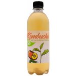 Stevikom Kombucha Bílý čaj Bio Broskve 0,5 l – Zboží Dáma