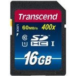 Transcend SDHC 16 GB UHS-I U1 TS16GSDU1 – Zboží Mobilmania