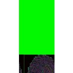 Mitas T454 110/90 R19 62M – Hledejceny.cz