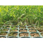 Tenax TR 2 x 5 m zelená 10 m² – Hledejceny.cz