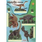 MFP paper s.r.o. Vystřihovánky MFP Pravěk – Zboží Dáma