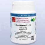 Giovanni Maciocia T67 Čisté dráhy 60 tablet – Hledejceny.cz