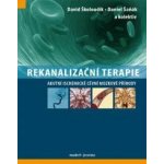 Rekanalizační terapie - Akutní ischemické cévní mozkové příhody - Školoudík David a kolektiv – Hledejceny.cz