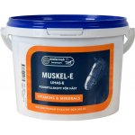 Biofarmab Muscle E pro koně 0,9 kg – Hledejceny.cz
