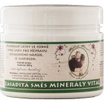 Bylinář Karel Zásaditá směs Mineraly VITAL 300 g – Hledejceny.cz
