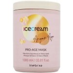 Inebrya Ice Cream Argan Age Pro-Age Mask 1000 ml – Hledejceny.cz