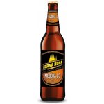 ČERNÁ HORA Medový special 13 světlé 5,7% 0,5 l (sklo) – Zboží Dáma