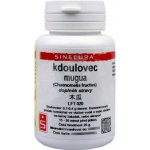 Sinecura Kdoulovec mugua prášek 20 g – Hledejceny.cz