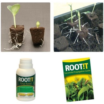 Root it First Feed hnojivo pro řízky a semenáčky 125 ml – Zbozi.Blesk.cz