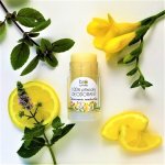 Biorythme 100% přírodní deodorant Citronová meduňka roll-on 30 g – Zbozi.Blesk.cz
