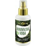 Purity Vision Bio Borovicová voda 100 ml – Hledejceny.cz