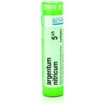 ARGENTUM NITRICUM POR 5CH GRA 1X4G – Hledejceny.cz