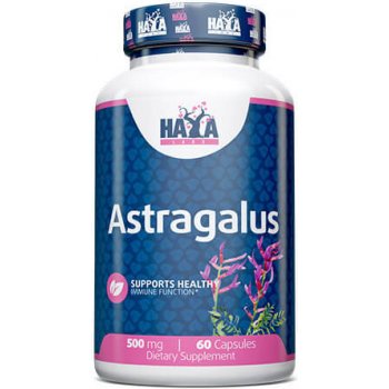 Haya Labs Astragalus 500 mg 60 kapslí