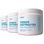 Vilgain Elektrolyty 960 g – Zboží Mobilmania
