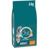 Purina ONE ADULT kuře 6 kg