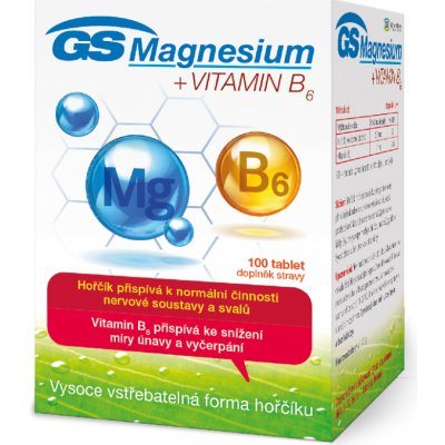 GS Magnesium s vitaminem B6 100 kapslí – Zboží Mobilmania
