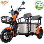 RURIS PILOT 3020A E-tříkolka osobní – Sleviste.cz