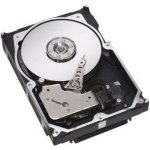 Seagate Cheetah 15K.7 450GB, 3,5", 15000rpm ,SCSI, ST3450857SS – Sleviste.cz