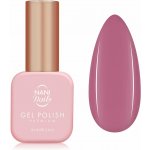 NANI gel lak Premium Rosy Cloud 6 ml – Hledejceny.cz