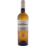 Vinařství Vajbar Sauvignon Terroir Pálava 2018 pozdní sběr suché 12,5% 0,75 l (holá láhev) – Hledejceny.cz