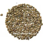 Ebies Pepř zelený celý 50 g – Hledejceny.cz