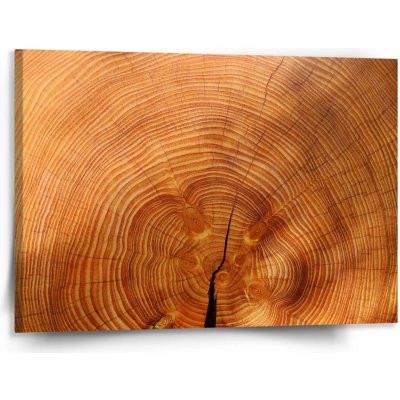 Sablio Obraz Dřevo 2 - 150x110 cm – Hledejceny.cz