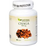 Natural Medicaments Chaga 500 mg 90 kapslí – Hledejceny.cz