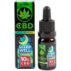 Doplněk stravy na spánek a nervovou soustavu Euphoria CBD olej 10% s terpeny SLEEP WELL 10 ml