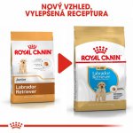 Royal Canin Labrador Retriever Puppy 3 kg – Zboží Mobilmania