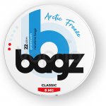 Bagz ARCTIC FREEZE Mentol a máta 8 mg 22 sáčků – Sleviste.cz
