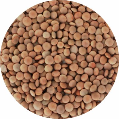 Arax Čočka červená neloupaná 0,5 kg – Zboží Dáma Arax Čočka červená neloupaná 0,5 kg – Zboží Dáma