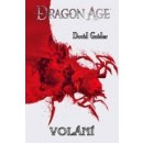 Dragon Age: Volání - David Gaider