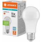 LEDVANCE Žárovka LED Classic A 75 V 10W 865 Frosted E27 – Hledejceny.cz