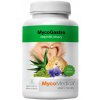 Doplněk stravy MycoMedica MycoGastro prášek 90 g