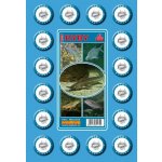 Pexeso: Sladkovodní ryby – Hledejceny.cz