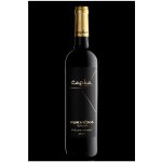 Čapka Vinařství Čapka Ryzlink rýnský Terroir Kukvička 13% 0,75 l (holá láhev) – Hledejceny.cz